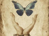 Butterfly for Civil Disobedience Campaign