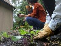 People gardening