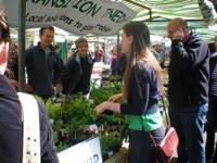 An organic market